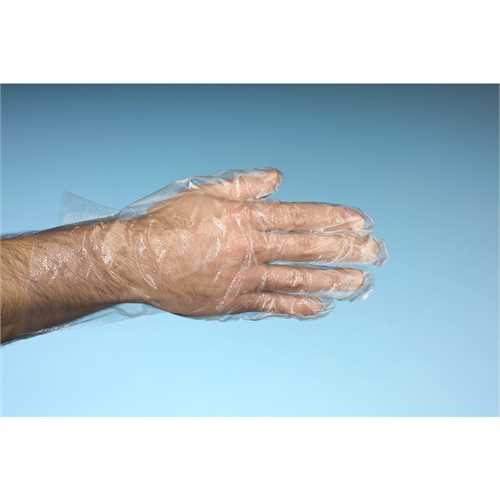 PAPSTAR Handschuh, unsteril, LDPE, Größe: L, farblos, transparent (500 Stück)