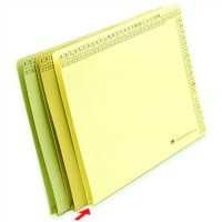 MAPPEI Einstellmappe, für 250 Blatt, Natronkarton, 230 g/m², A4, chamois MAPPEI Einstellmappe, für 250 Blatt, Natronkarton, 230 g/m², A4, chamois